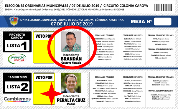 Voto nulo 03