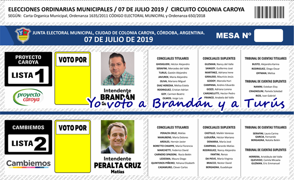 Voto nulo 04