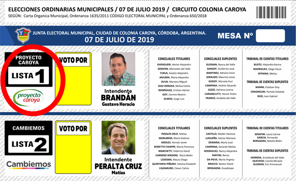 Voto valido 06