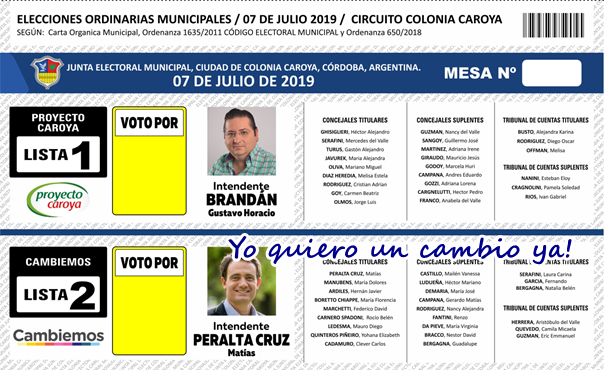 Voto nulo 05
