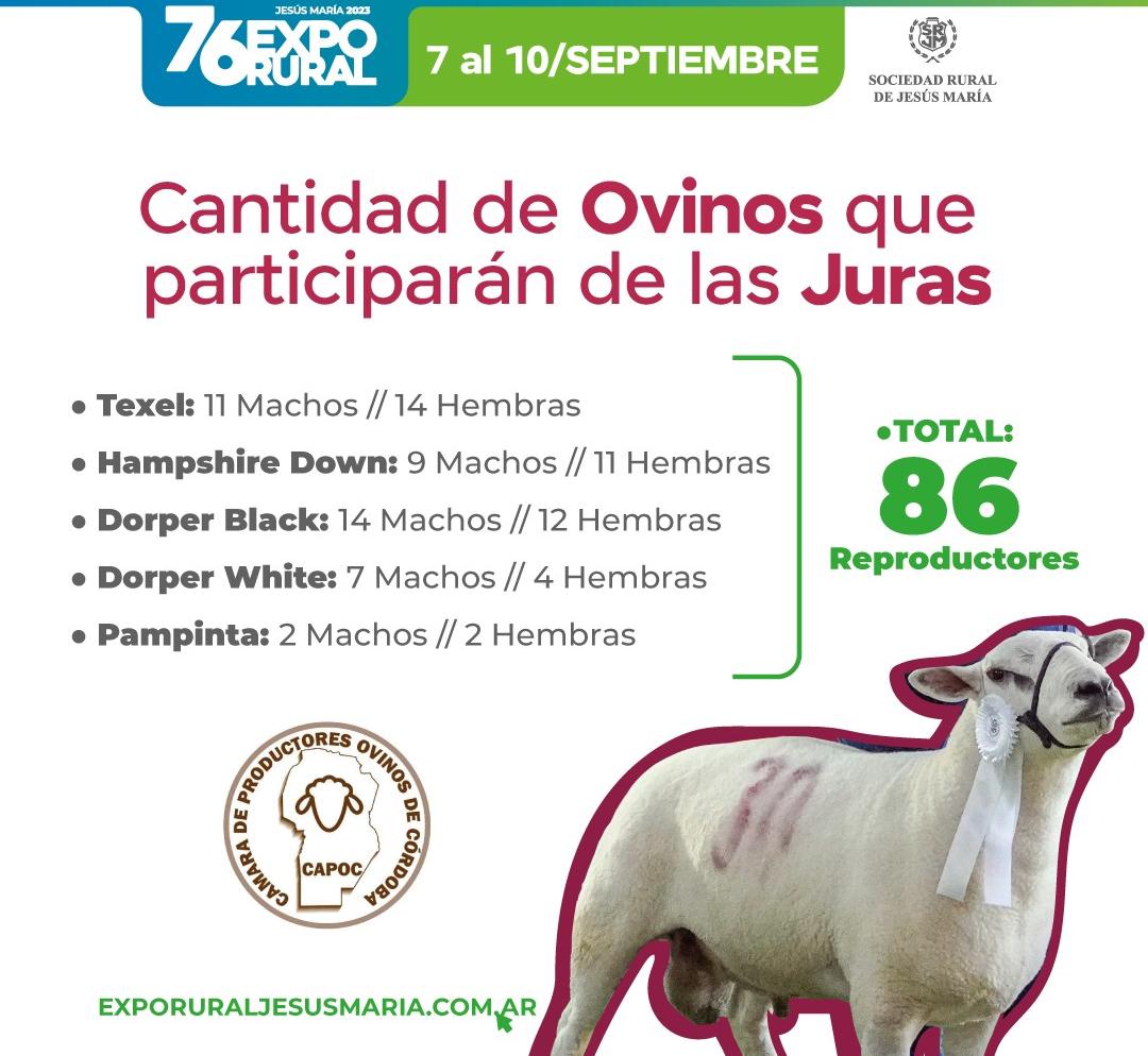 WhatsApp Image 2023-09-04 at 19.30.34