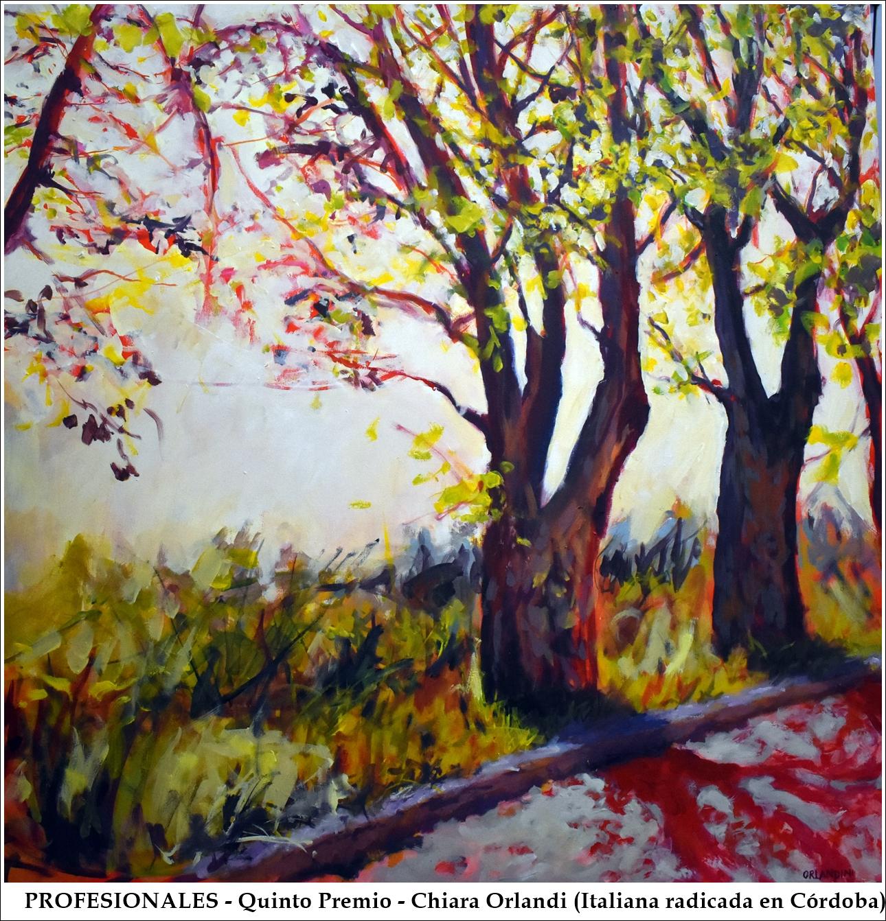 Profesionales-5premio - ChiaraOrlandi
