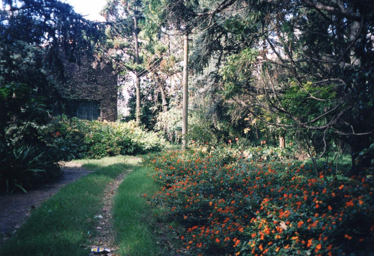 IMG-20171202-WA0114 (1)