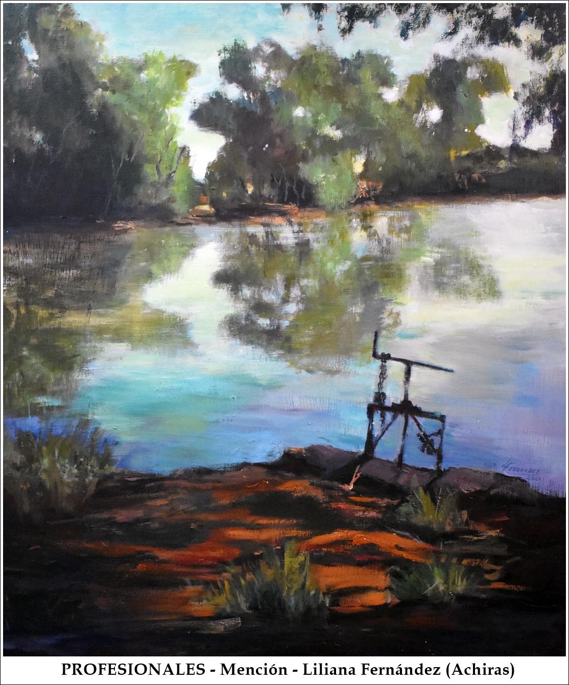 Profesionales-Mencion-LilianaFernandez