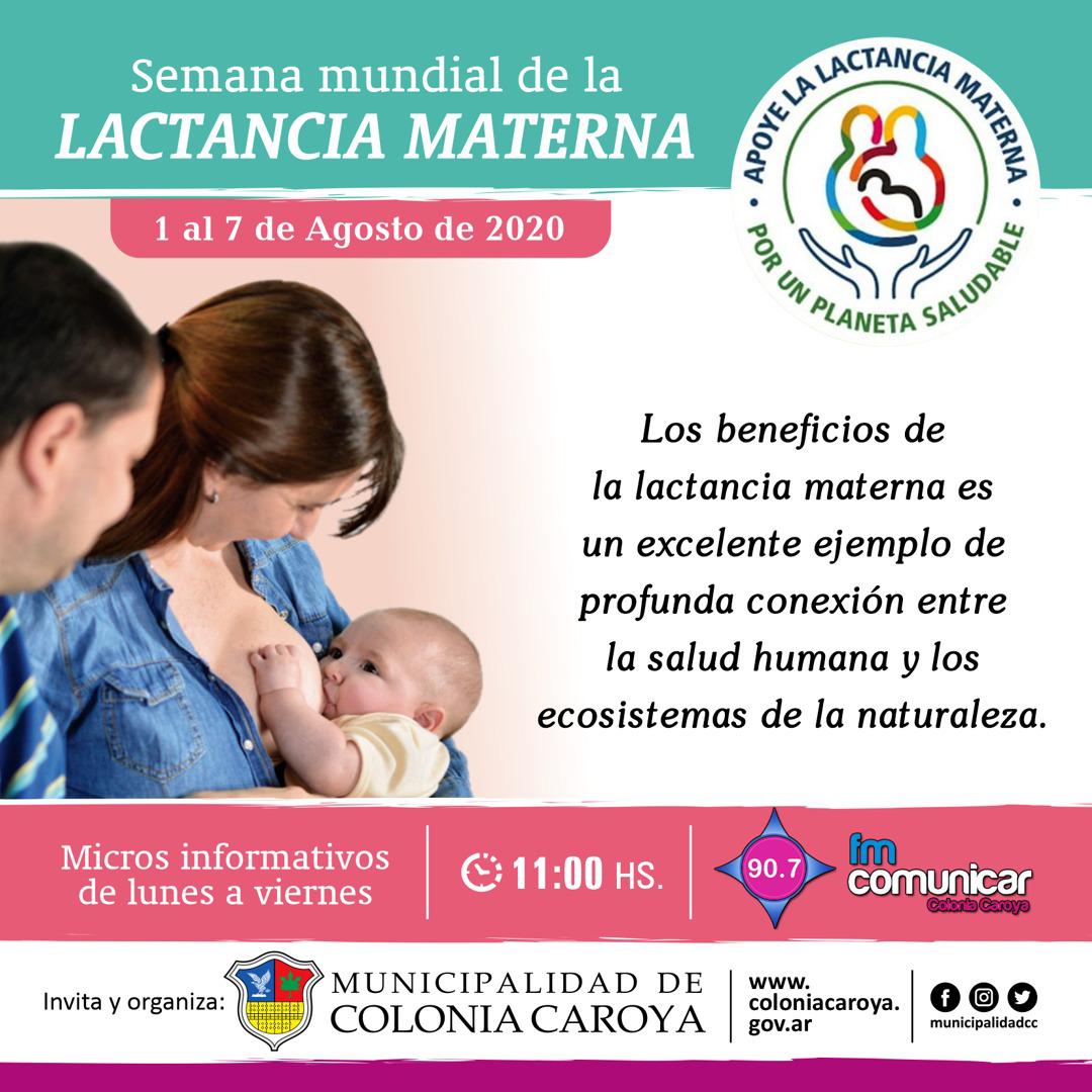 WhatsApp Image 2020-08-01 at 20.34.55