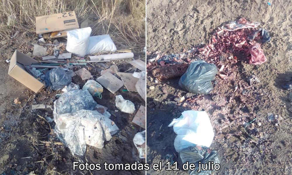 WhatsApp Image 2020-07-11 at 13.44.30