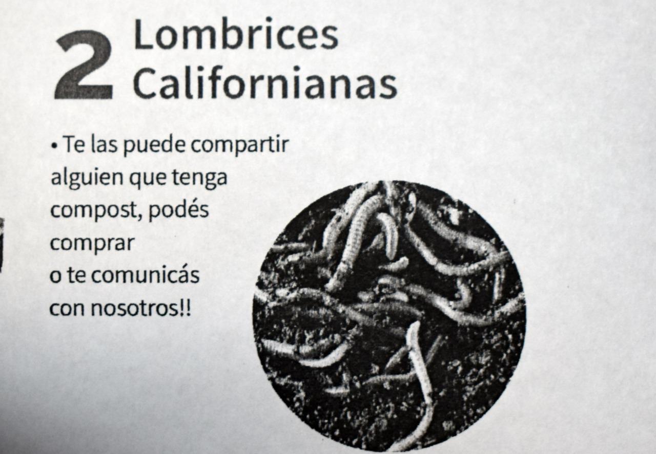 WhatsApp Image 2020-07-28 at 11.48.11 (4)