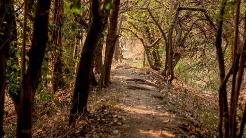 WhatsApp Image 2020-09-27 at 15.43.10 (2)