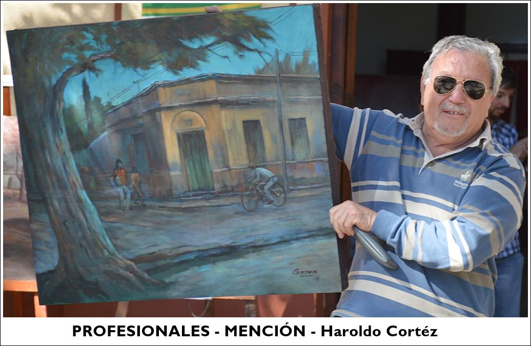 profesionales - mencion