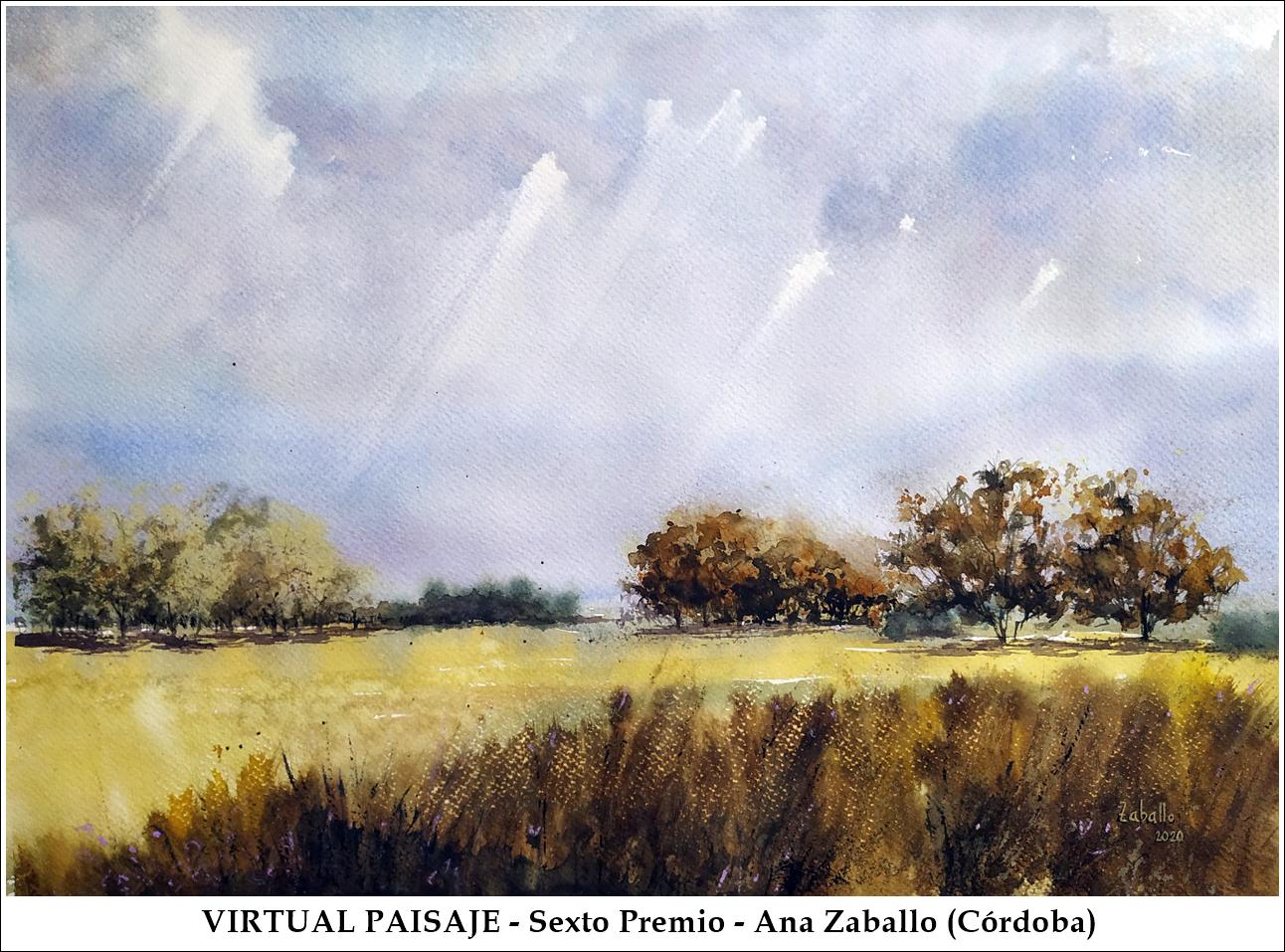 VirtualPaisaje - SextoPremio - AnaZaballo