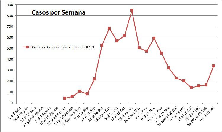 WhatsApp Image 2021-01-10 at 21.26.52