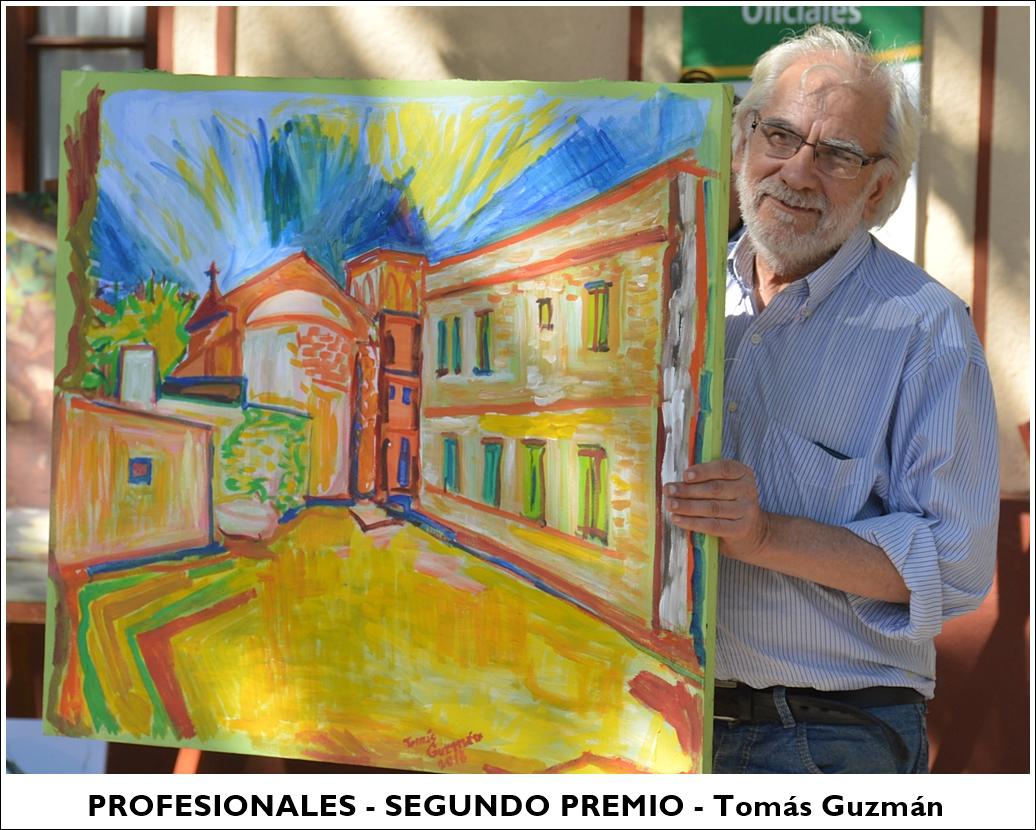 profesionales - segundo premio