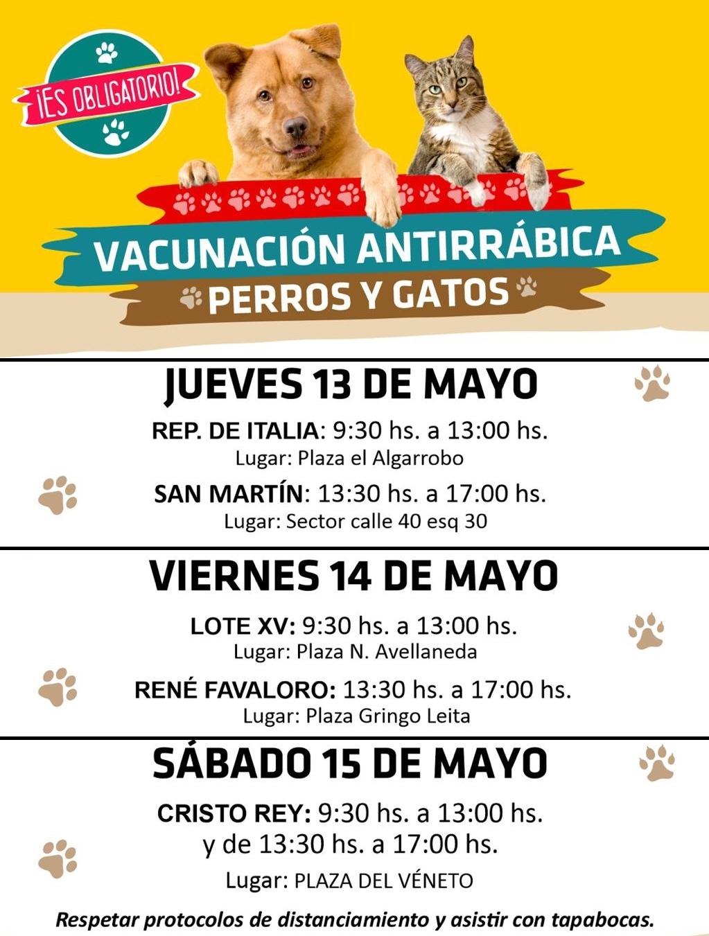 WhatsApp Image 2021-05-11 at 11.26-vert