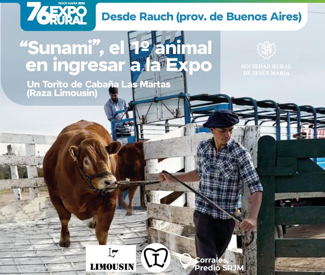 WhatsApp Image 2023-09-05 at 09.48.50