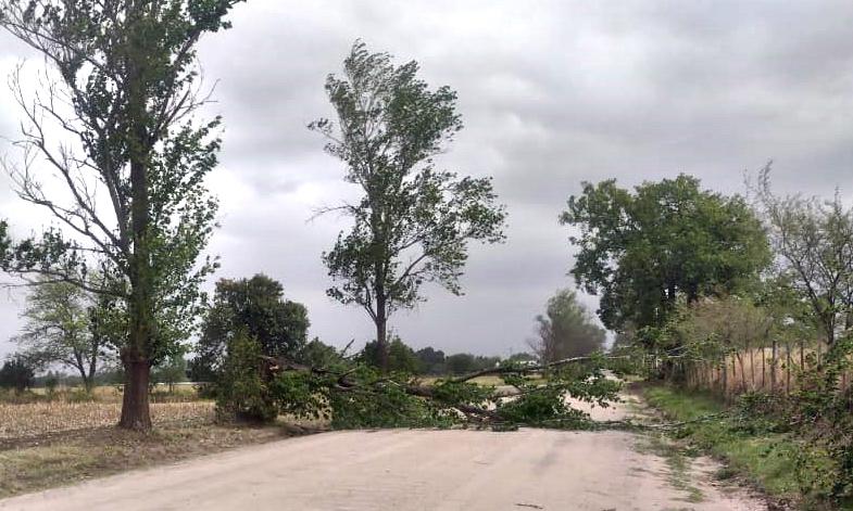 WhatsApp Image 2021-10-14 at 16.52.40