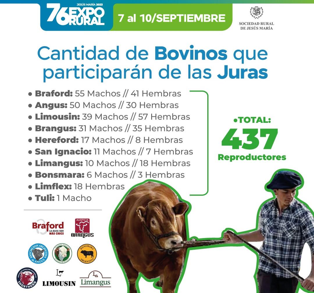 WhatsApp Image 2023-09-04 at 19.30.33