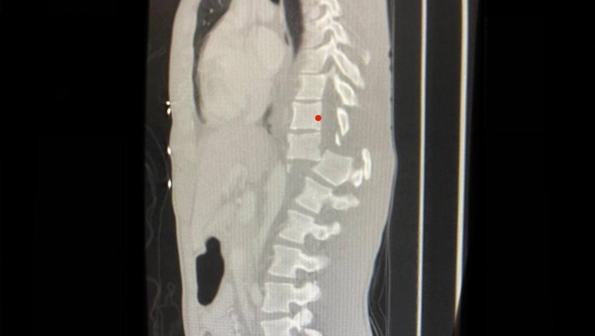 70801757_1675127174769270_r_