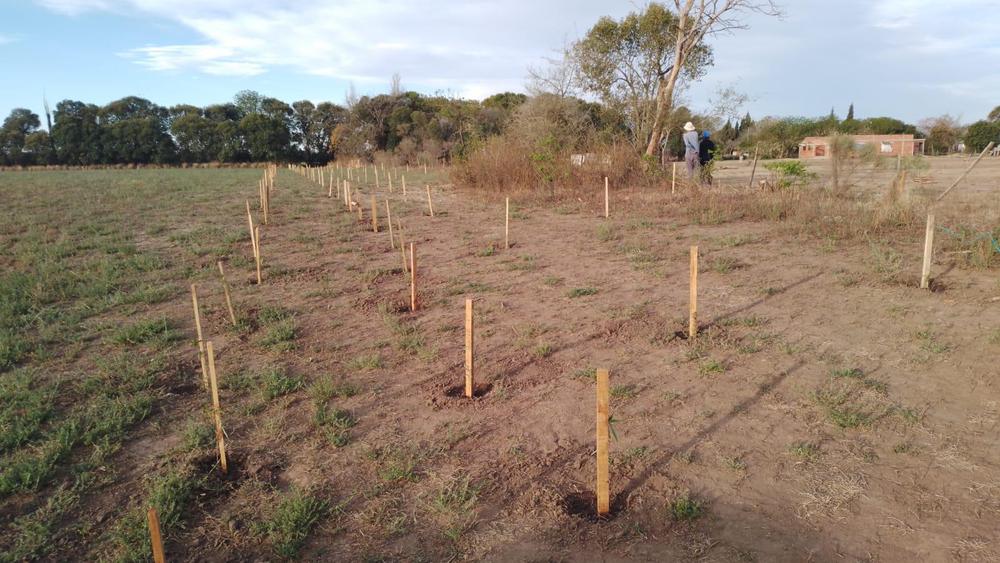 WhatsApp Image 2023-09-12 at 22.58.37 (2)