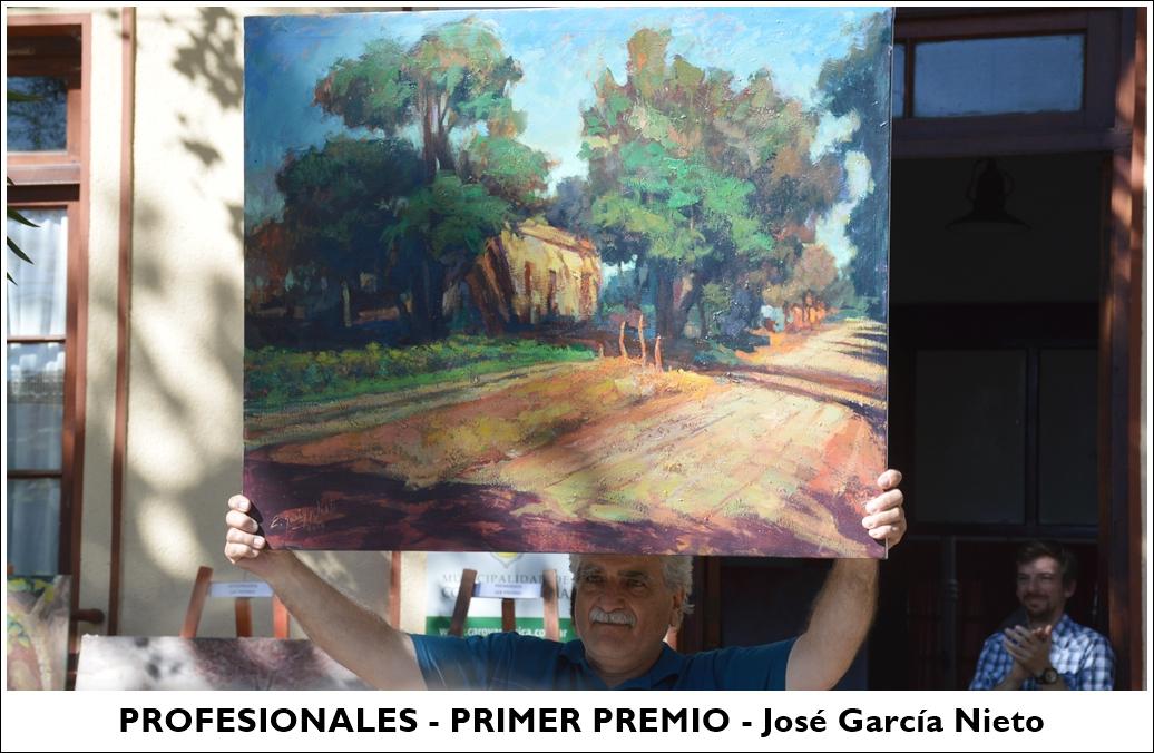 profesionales - primer premio