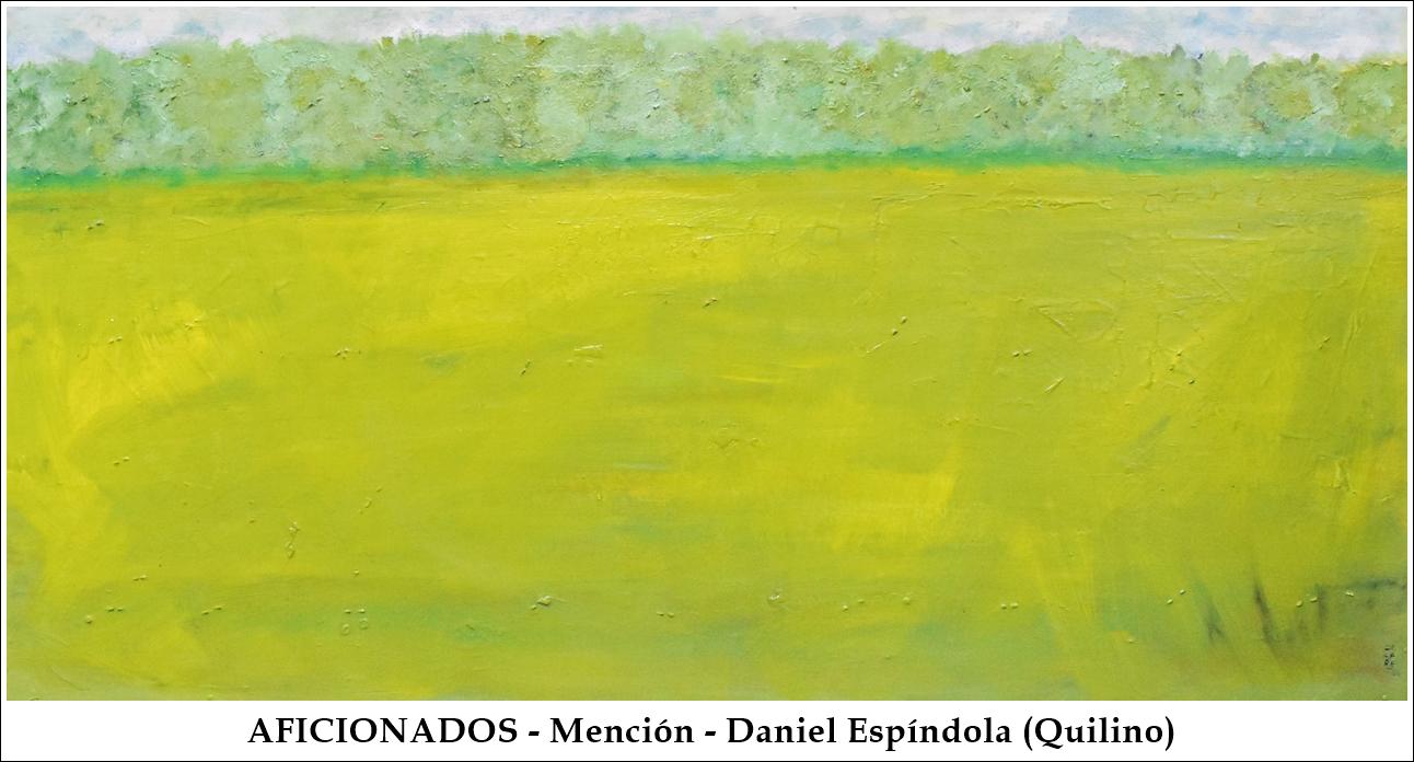 Aficionados-Mencion-DanielEspindola