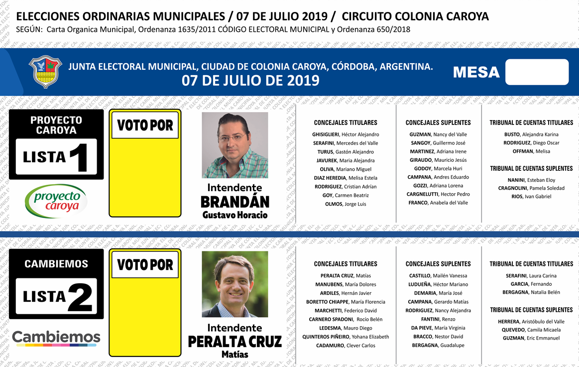 elecciones 6