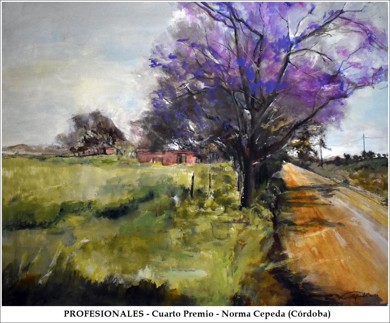 Profesionales-4premio - NormaCepeda