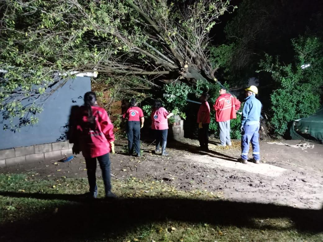 WhatsApp Image 2023-03-07 at 08.51.23