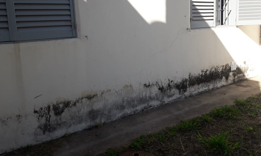 WhatsApp Image 2019-05-08 at 19.00.35