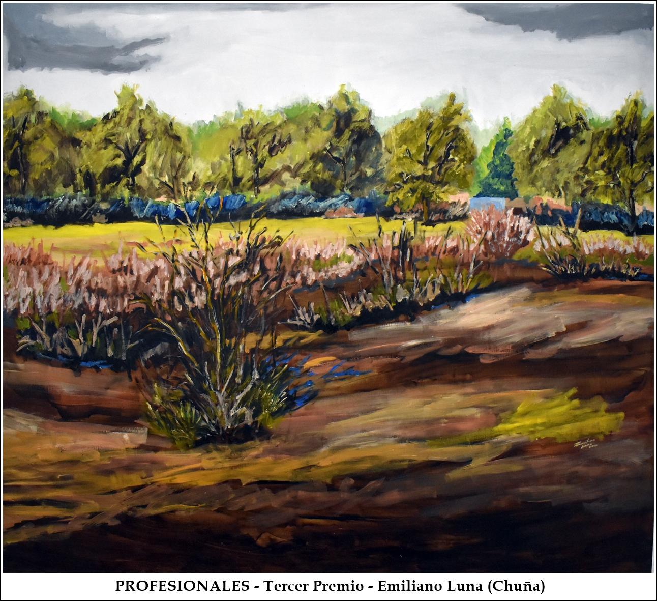 Profesionales-3premio - EmilianoLuna