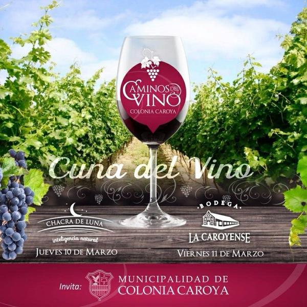 caminos del vino2