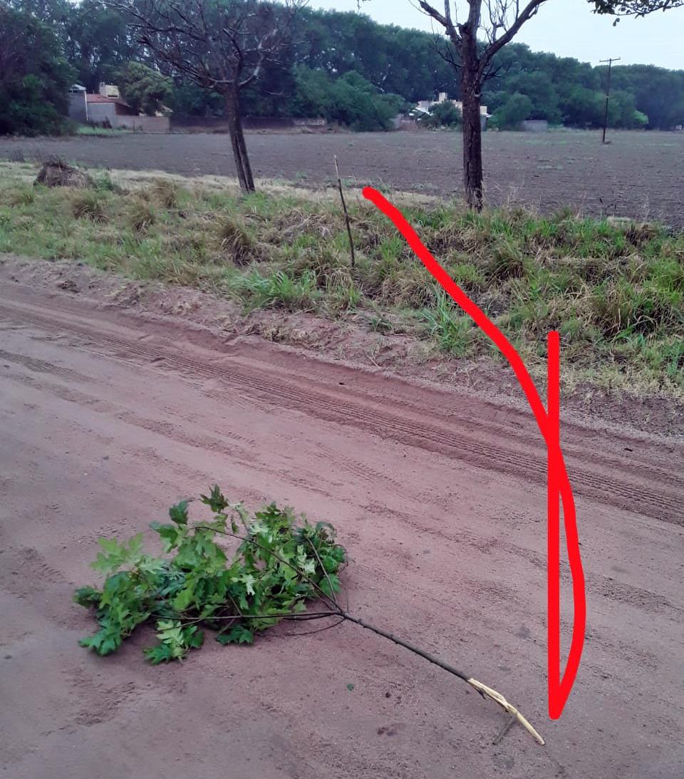 c217ab9e-3a94-4a78-8236-6021cd873a2a