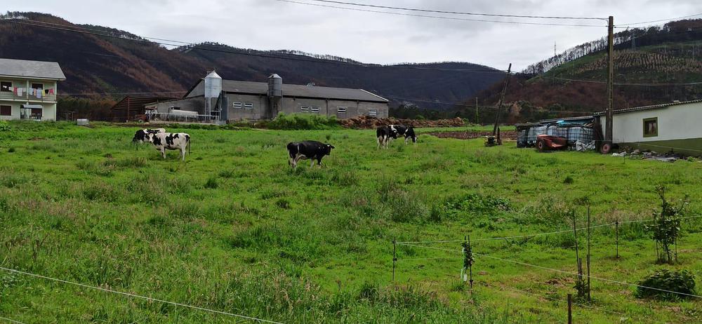 WhatsApp Image 2023-05-15 at 10.28.31