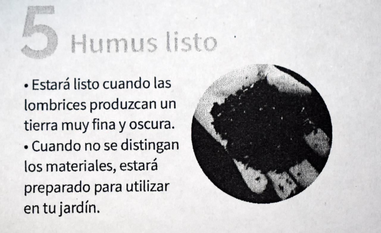 WhatsApp Image 2020-07-28 at 11.48.11 (1)