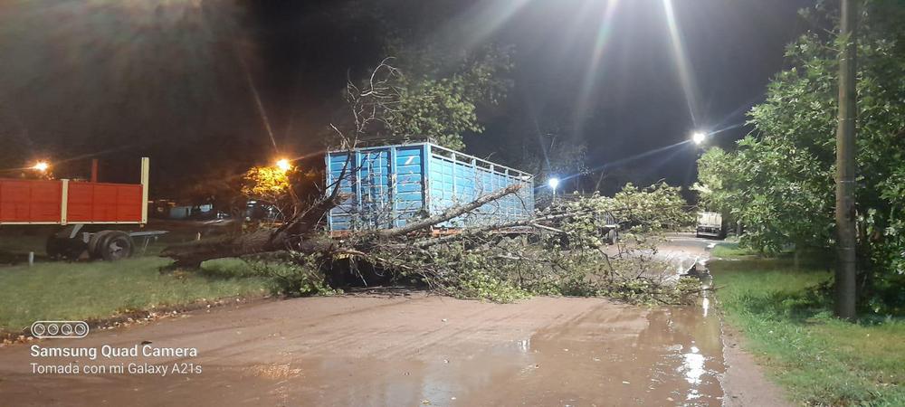 WhatsApp Image 2023-03-06 at 22.36.05