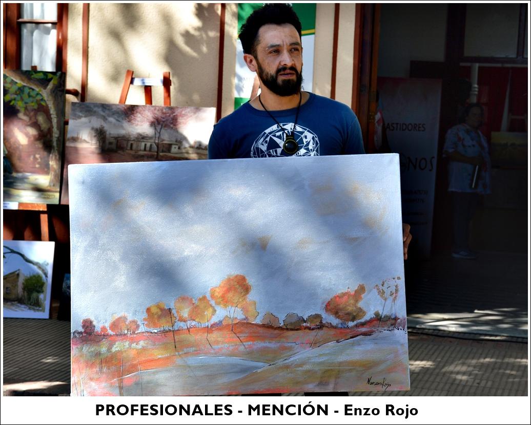 profesionales - mencion2