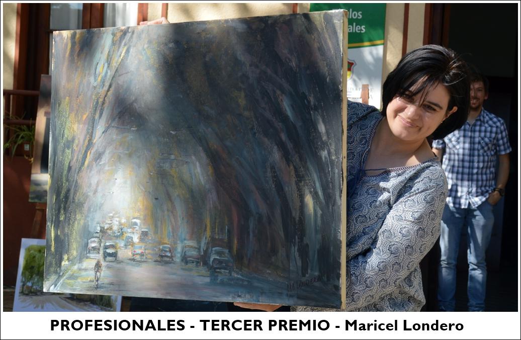 profesionales - tercer premio
