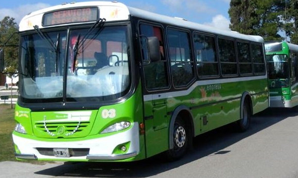 colectivo verde