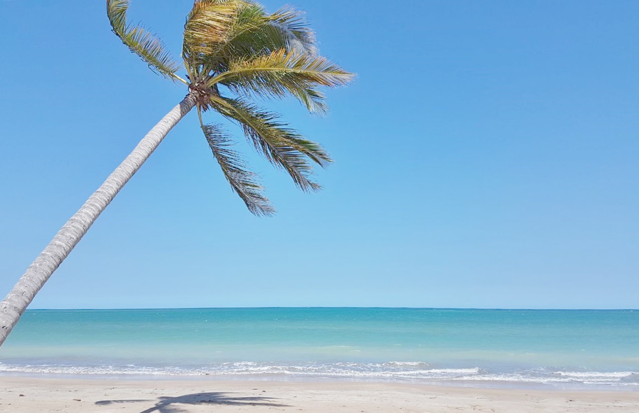 mar vacaciones ed