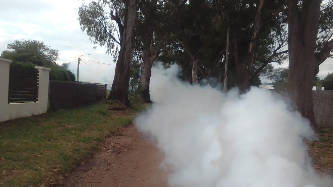 WhatsApp Image 2024-03-01 at 09.15.10