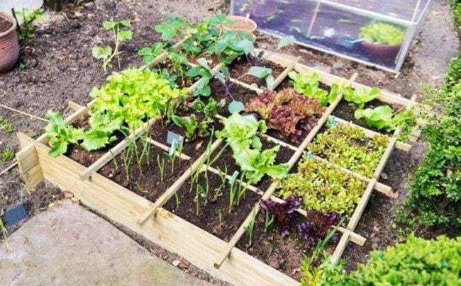 Huerta-MinAgriCba-650x404