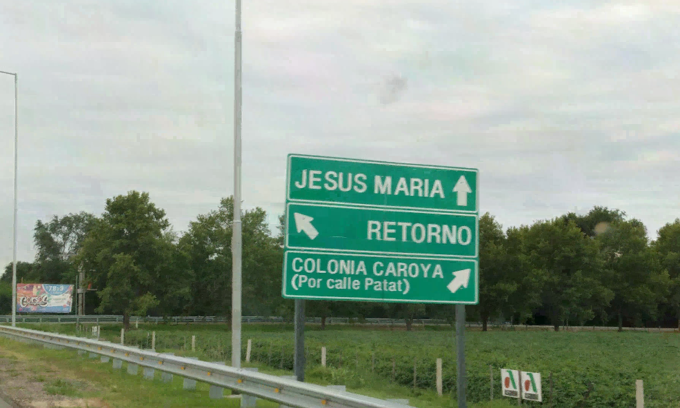 unico cartel