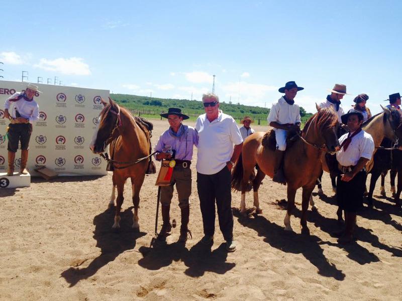 caballos2