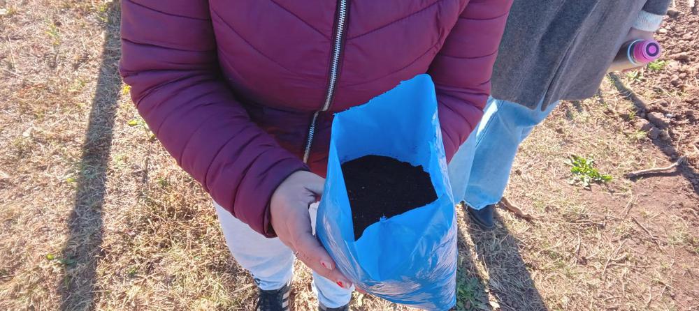 WhatsApp Image 2024-07-01 at 00.43.32