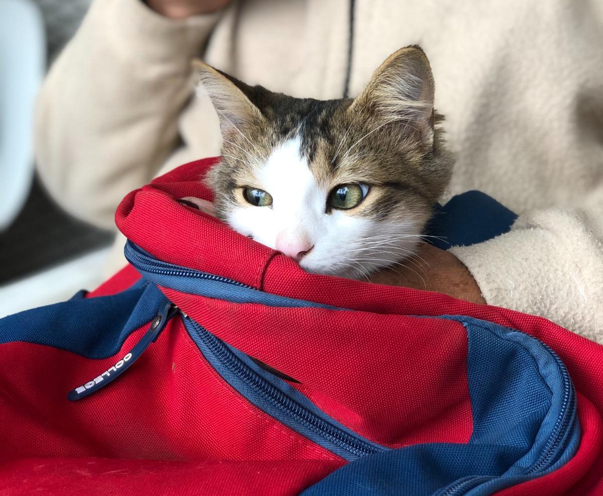 WhatsApp Image 2024-04-29 at 10.50.08 (3)