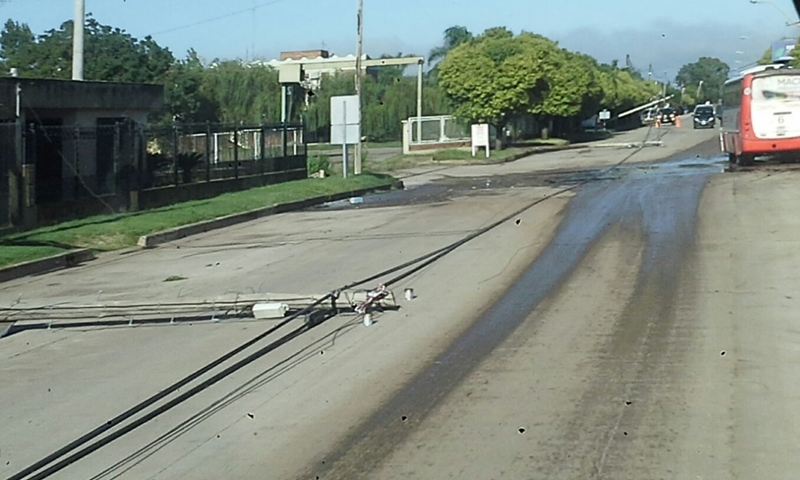 d1f233f6-fff1-4891-95c2-c66d18ad3ce8