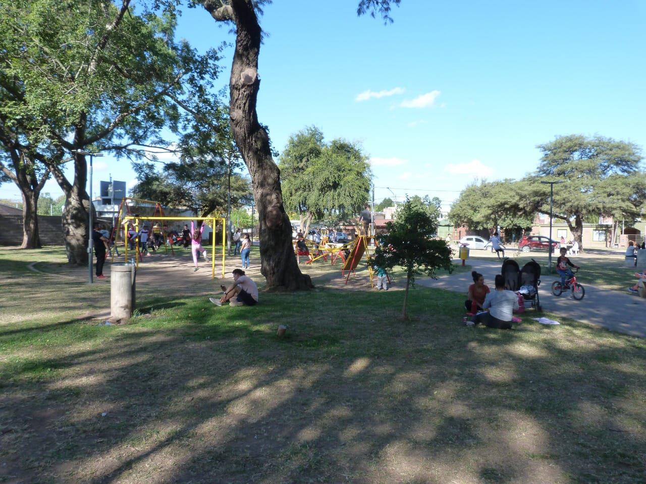 plaza viejos viñedos