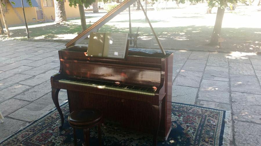 WhatsApp Image 2017-11-21 at 9.50.07 AM