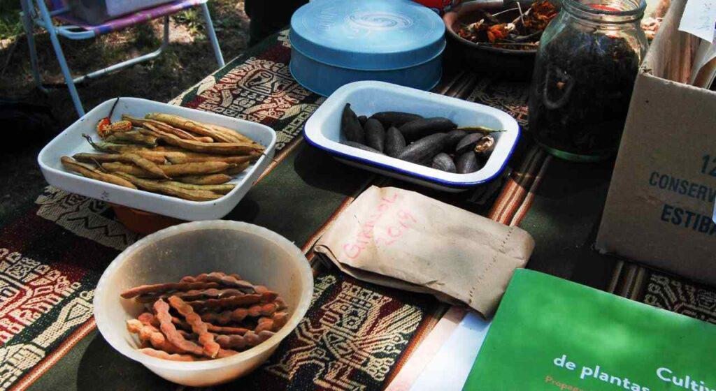 WhatsApp-Image-2021-11-16-at-10-compressed-3-1024x560-1