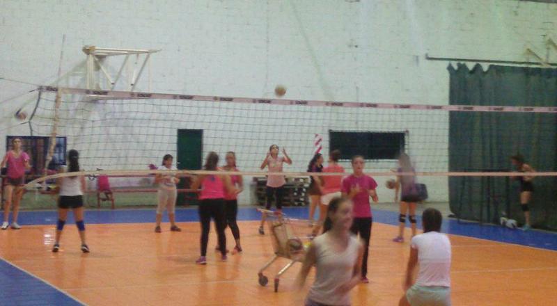 voley femenino alianza