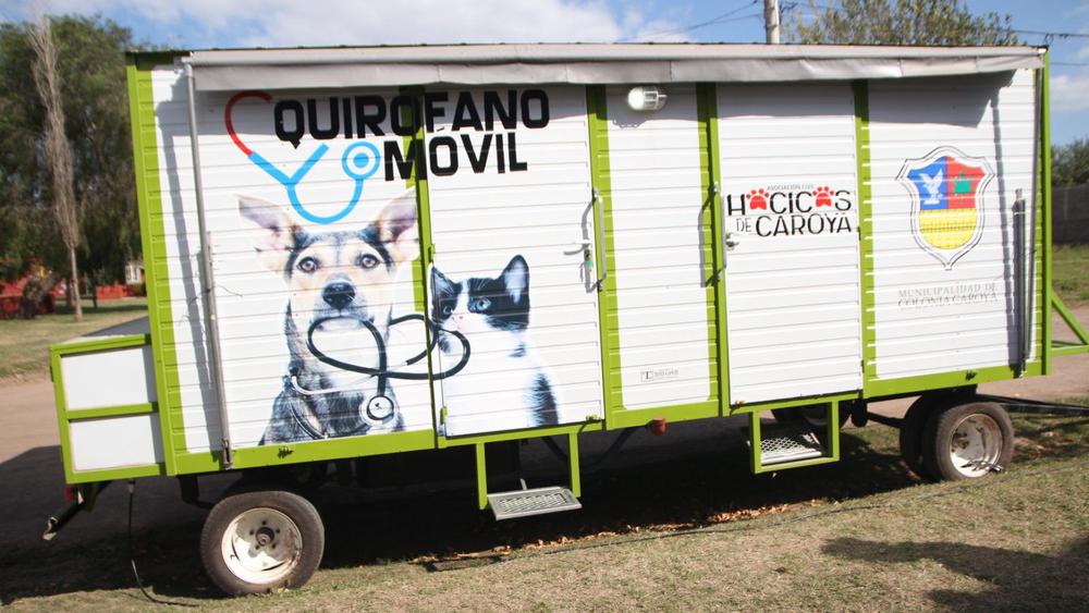 WhatsApp Image 2023-08-09 at 10.13.34